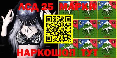 стафф Новозыбков