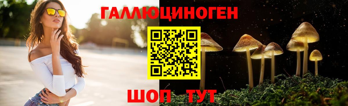 Галлюциногенные грибы мухоморы Чита